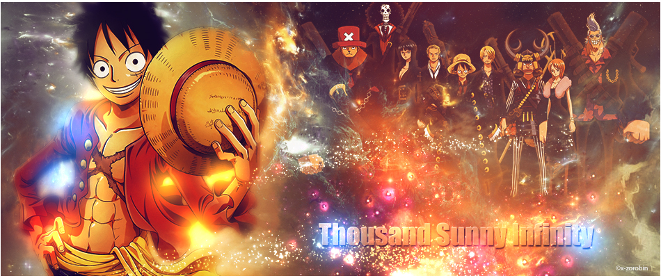 Thousand Sunny Infinity