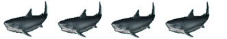 La quadrilogie, Les Dents de la mer E-et-cie-ligne-requin00-40072d6