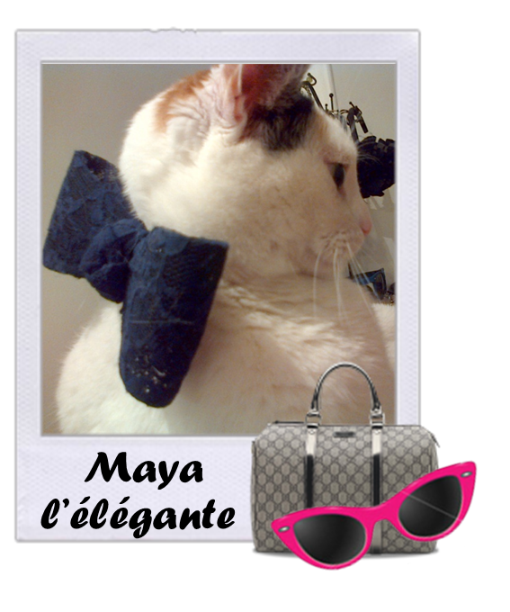 Maya