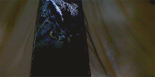 La trilogie Jurassic Park E-et-cie-jurassic-park-2a-3fc0277