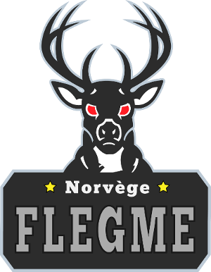 logo-flegme_300-3ed3932.png