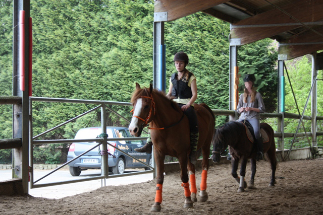 8 ans d'équitation..♥ - Page 6 Img_6570-3ddc161