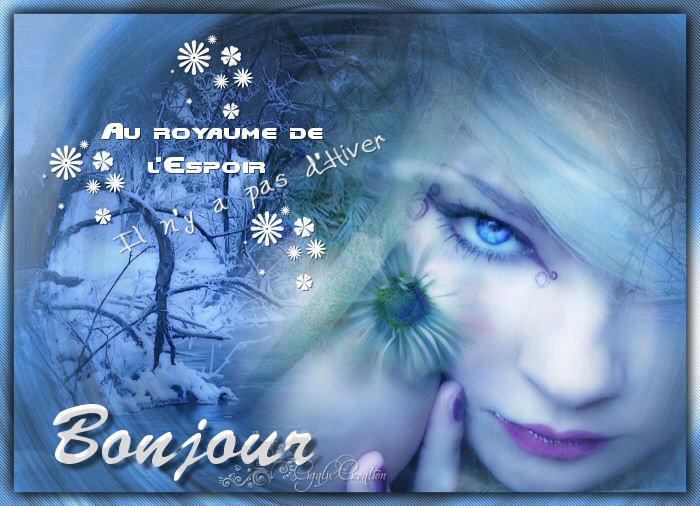 BONJOUR DU VENDREDI 13 DÉCEMBRE Wdnrpkyn85y_wt5fxlxcgumns7q-42b2ea5